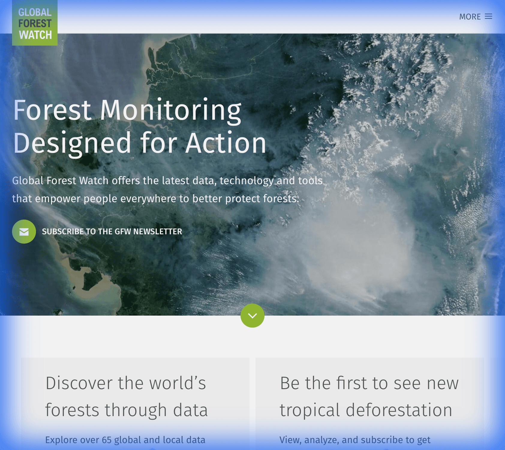 Global Forest Watch